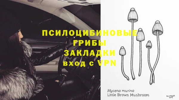 альфа пвп Володарск