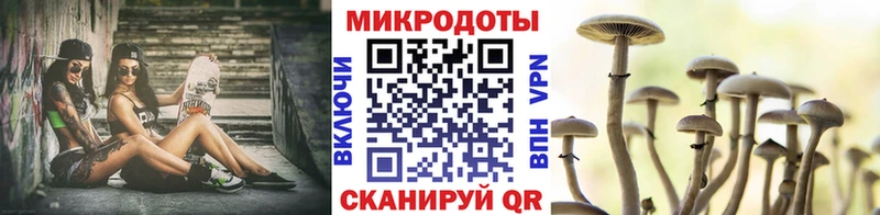 Галлюциногенные грибы Psilocybine cubensis  закладка  Нерчинск 