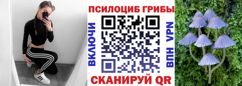 Псилоцибиновые грибы прущие грибы Нерчинск